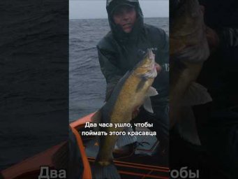 Самые жёсткие условия рыбалки, но каков результат! #hotspotzander