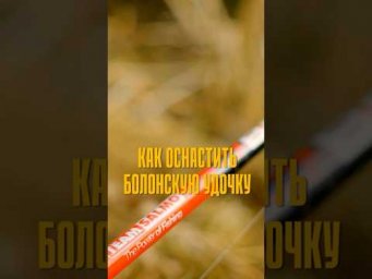 А как вы оснащаете болонку?