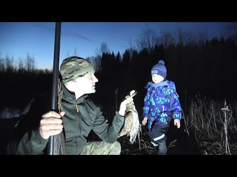 ВЗЯЛ СЫНА НА ОХОТУ. ПРИШЛОСЬ ПОБЕГАТЬ ЗА ТРОФЕЕМ. ОХОТА НА ВАЛЬДШНЕПА НА ТЯГЕ. ВЗЯЛ СЫНА НА ОХОТУ. ПРИШЛОСЬ ПОБЕГАТЬ ЗА ТРОФЕЕМ. ОХОТА НА ВАЛЬДШНЕПА НА ТЯГЕ.