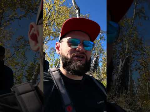 Вот это я понимаю &laquo;Дары природы&raquo;!