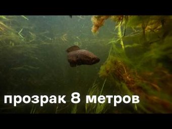 Один день ПОДВОДНОЙ ОХОТЫ на реке Или! Невероятный ПРОЗРАК 8 метров и змееголовы!