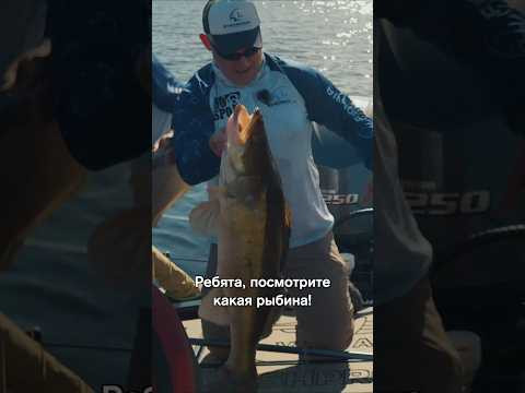 Трофейные судаки на Hot Spot Zander