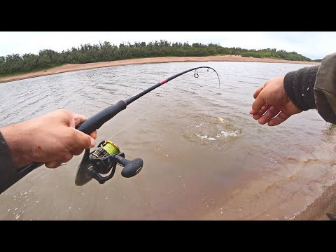 РЫБАЛКА В МУТНОЙ ВОДЕ, ГДЕ СТОЯТ КРУПНЫЕ РЫБЫ. ЛОВЛЯ НА СПИННИНГ С БЕРЕГА. ЩУКИ, ОКУНЯ.