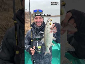 У кого такая же шедеврогалерея?