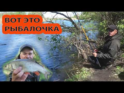 Рыбалка весной на поплавочку с дедом. Наловились и отдохули. Рыбалка весной на поплавочку с дедом. Наловились и отдохули.