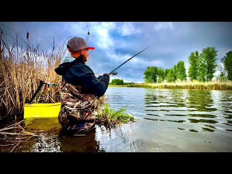 НОРМА ВИЛОВУ це не про нас!!! Рибалка РОЗДАЄ!!! НОРМА ВИЛОВУ це не про нас!!! Рибалка РОЗДАЄ!!!