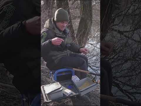 ПЛОТВА — ДУША ФИДЕРА #fishing #assistancetv#рыбалка #плотва #весенняярыбалка #рыбалкаудалась ПЛОТВА — ДУША ФИДЕРА #fishing #assistancetv#рыбалка #плотва #весенняярыбалка #рыбалкаудалась