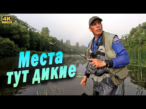 Рыбалка в дебрях Смоленской области. Здесь только медведи рыбу ловят