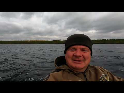 Рыбалка в тайге поздней осенью. Окунь монстр и щука мамка под занавес. Рыбалка в тайге поздней осенью. Окунь монстр и щука мамка под занавес.