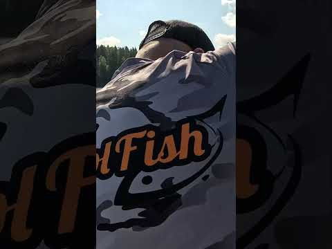 Здоровый судак на лайтовый спиннинг CF Arion #fishing