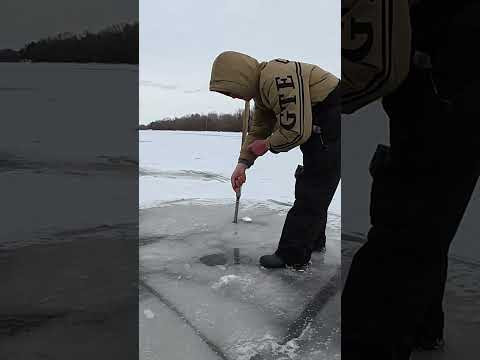 2 САЗАНА від ПАРАМОНА #рибалка #сазан #короп