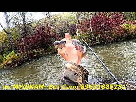 Рыбалка на Хариуса /Осень/ Время Дождей/ Рыба клюет главное знать на что! Рыбалка на Хариуса /Осень/ Время Дождей/ Рыба клюет главное знать на что!