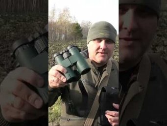 Дратхаар догнал зайца! #дратхаар #охотасдратхааром #охотаназайца