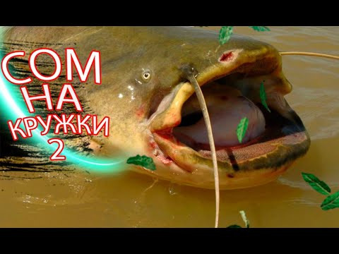 СОМ НА ПАСТОВУШКИ   2 часть