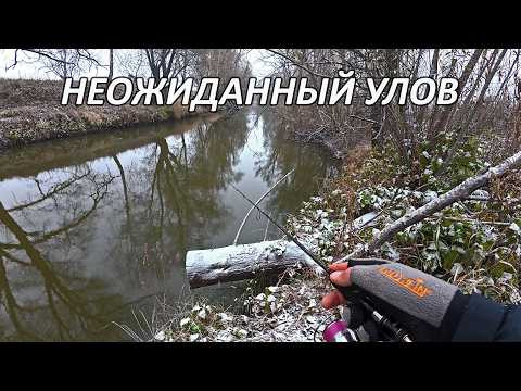 Микроджиг по первому снегу и НЕОЖИДАННЫЙ УЛОВ на малой речке Микроджиг по первому снегу и НЕОЖИДАННЫЙ УЛОВ на малой речке