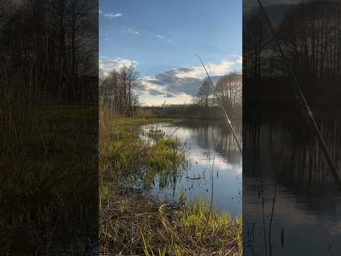 Кайфовая РЫБАЛКА в Беларуси 