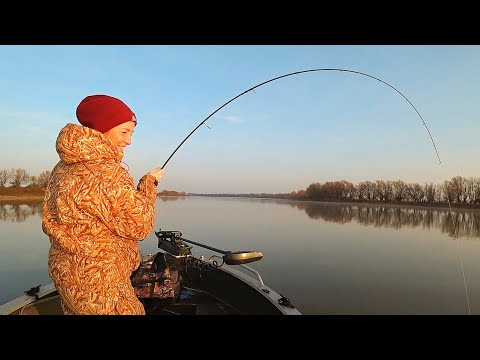 ВОТ ЭТО РЫБАЛКА МЕЧТЫ! ЩУЧЬЕ ЛОГОВО НАЙДЕНО! НА РЫБАЛКУ С ЖЕНОЙ. Ловля щуки и другой рыбы. ВОТ ЭТО РЫБАЛКА МЕЧТЫ! ЩУЧЬЕ ЛОГОВО НАЙДЕНО! НА РЫБАЛКУ С ЖЕНОЙ. Ловля щуки и другой рыбы.