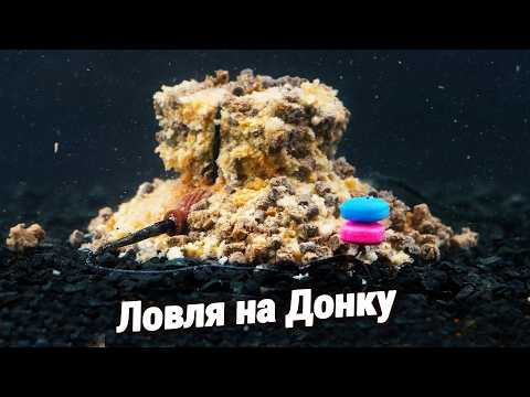Ловля Карася та Коропа на Донну снасть