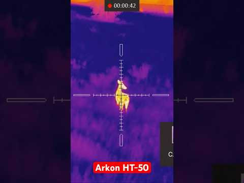 Косули в прицеле Arkon HT-50   #охота #охотник #охотастепловизором #arkonht50