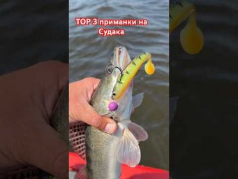 TOP 3 приманки на Судака #beregfishing #carpfishing #спінінг #fishing #галаш