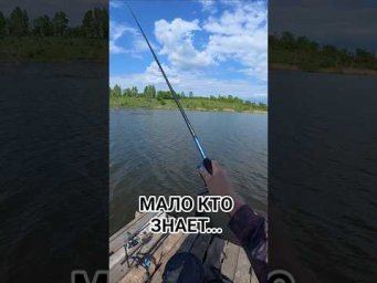 Мало кто знает... #fishing #рыбалка