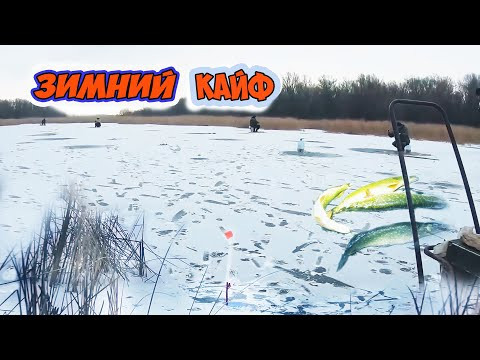 Не ПЕРВЫЙ лёд. Иваныч, держи бонус на уху. Не ПЕРВЫЙ лёд. Иваныч, держи бонус на уху.