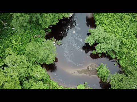 НЕВОЗМОЖНО ПОВЕРИТЬ, что ТУТ ТОННЫ РЫБЫ, а клюет на него. НЕВОЗМОЖНО ПОВЕРИТЬ, что ТУТ ТОННЫ РЫБЫ, а клюет на него.