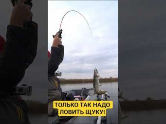 Мало кто знает такой способ!!! #рыбалка #щука #спиннинг