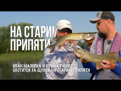 Утренняя охота на щуку в старике: твичинг, джерки и поклевки