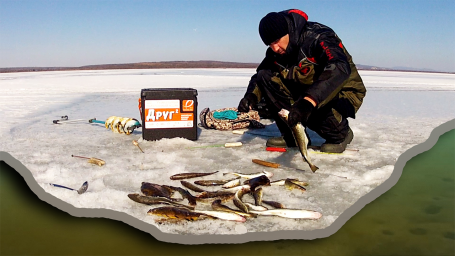 Рыба здесь ещё клюёт! Ловля рыбы на поплавок весной. Рыбалка на морепродукты.