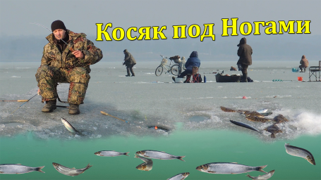 Места где можно поймать креветку и раков. Точки удачной рыбалки.