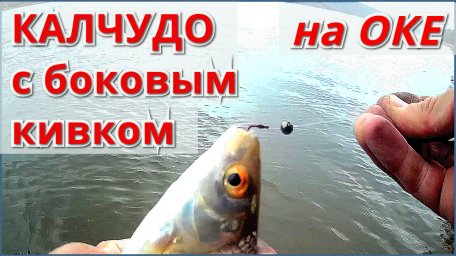 Рыбалка на Оке на боковой кивок.