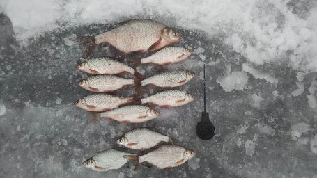 Рыбалка на Рузском водохранилище.